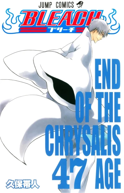 Cover of End of the Chrysalis Age