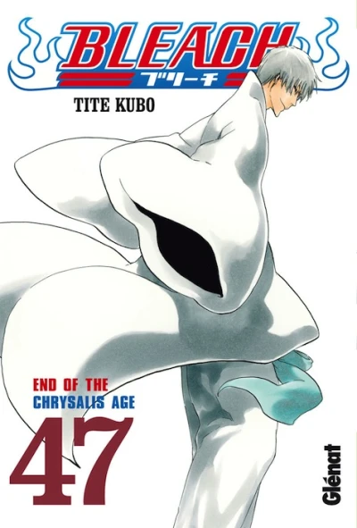 Cover of End of the Chrysalis Age