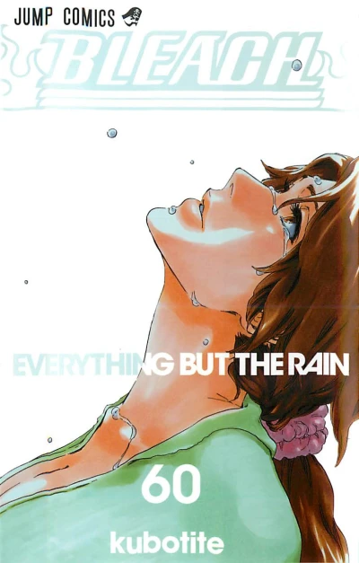 Cover of Everything But the Rain
