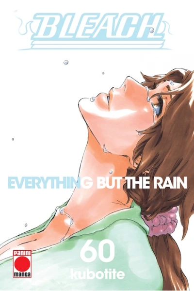 Cover of Everything but the Rain