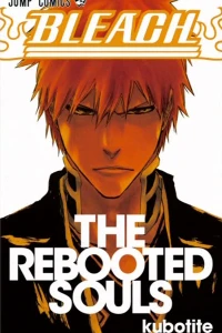 The Rebooted Souls