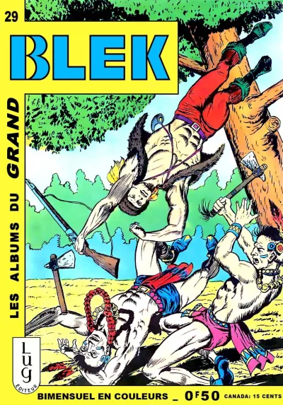 Cover of Issue #29