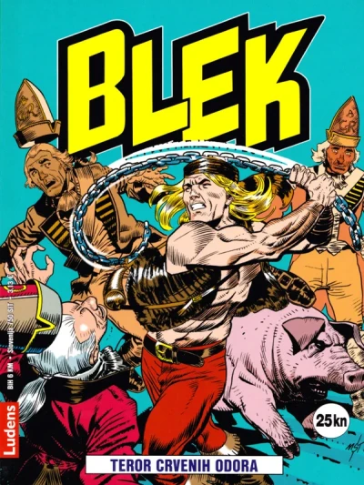 Cover of Issue #11