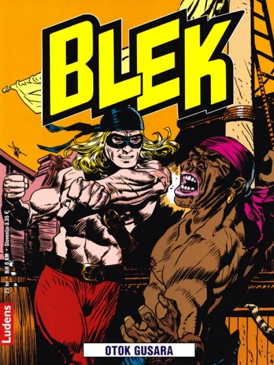 Cover of Issue #15