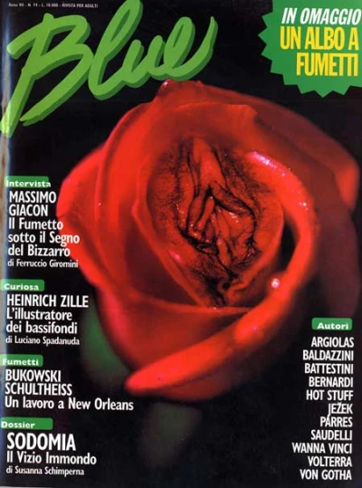 Cover of Sodomia il Vizio Immondo