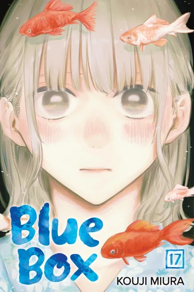 Cover of Last Fireworks