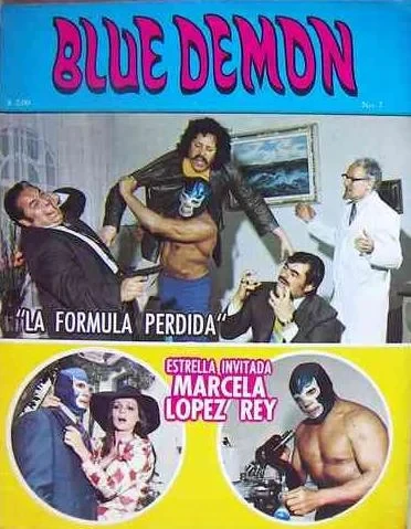 Cover of La Fòrmula Perdida