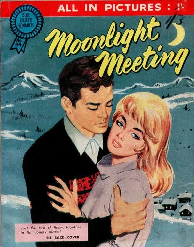 Cover of Moonlight Meeting