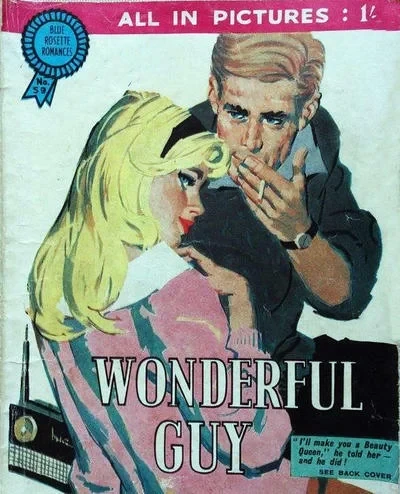 Cover of Wonderful Guy
