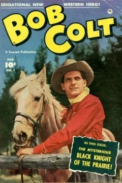 The Mysterious Black Knight of the Prairie