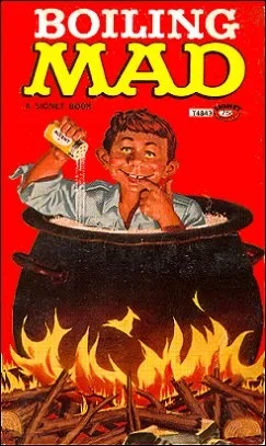 Cover of Boiling Mad