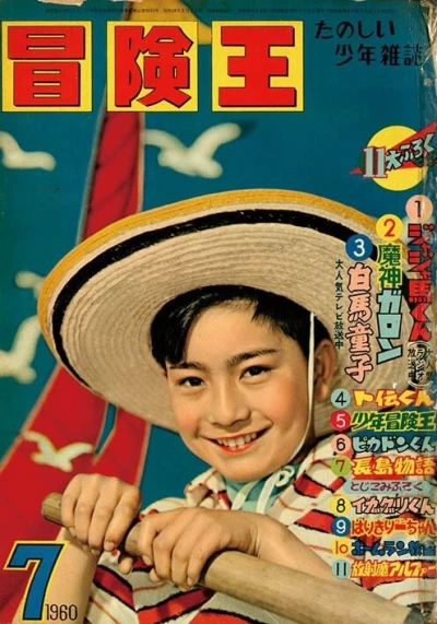 Cover of Volume #196007