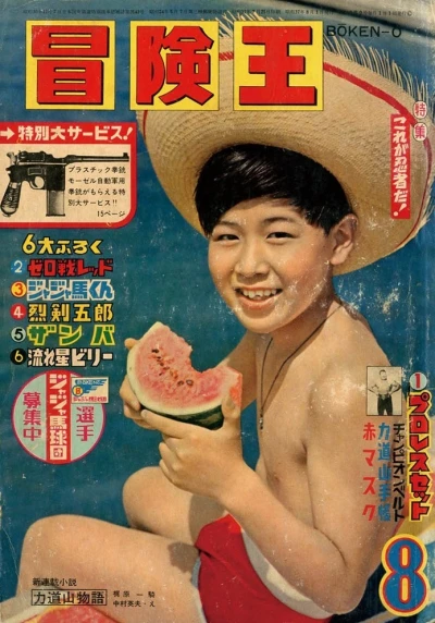Cover of Volume #196208