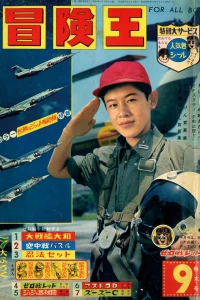 Volume #196409