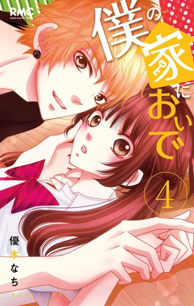 Cover of Vol. 4