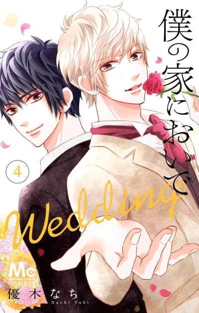 Cover of Vol. 4