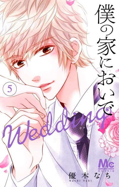 Cover of Vol. 5