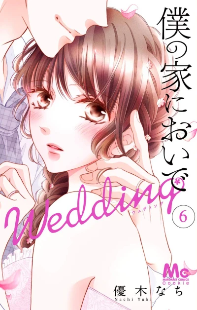 Cover of Vol. 6