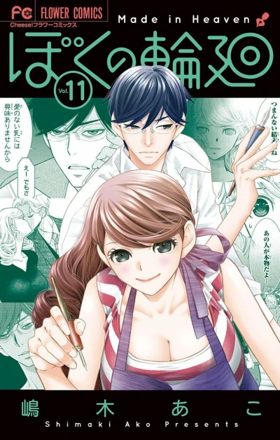 Cover of Vol. 11