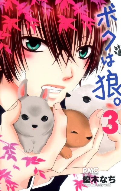 Cover of Vol. 3
