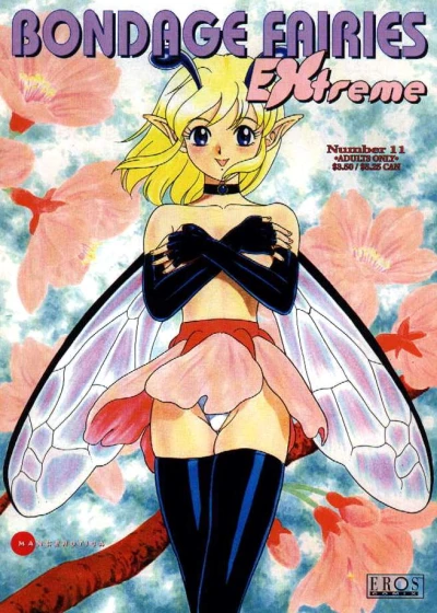 Cover of Issue #11