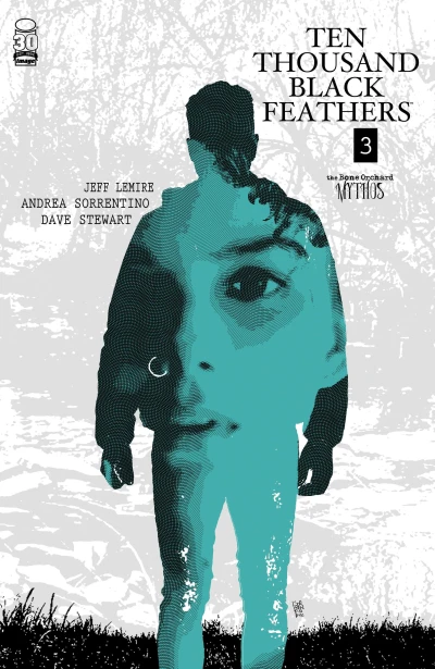 Cover of The Night Approches; She Falls Away