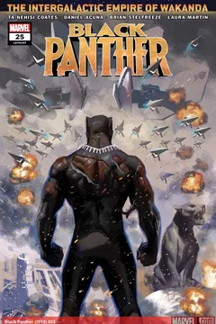 Book 4: Wakanda Unbound; Perspective