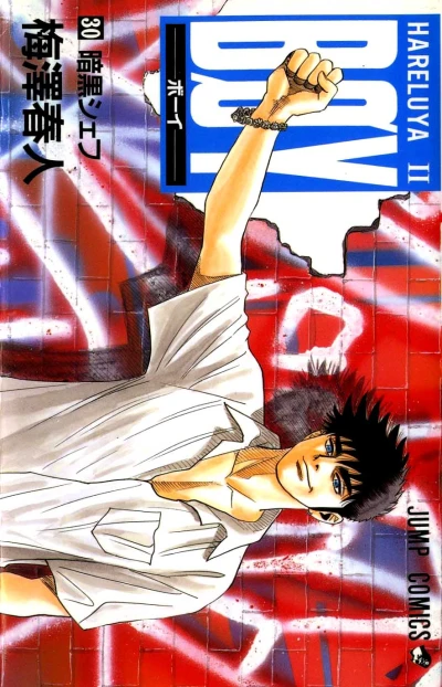 Cover of Vol. 30