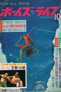 Issue #196310