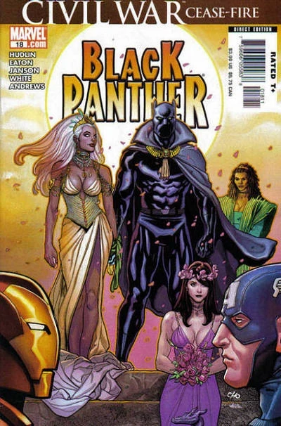 Cover of Bride Of The Panther, Part 5: Here Come A Storm