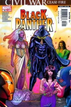 Bride Of The Panther, Part 5: Here Come A Storm