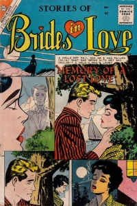 Memory Of A Lost Love