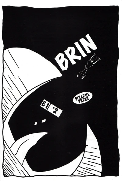 Cover of Brin (volume four) 2