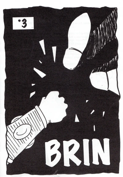Cover of Brin (volume four) 3