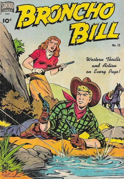 Cover of Issue #13