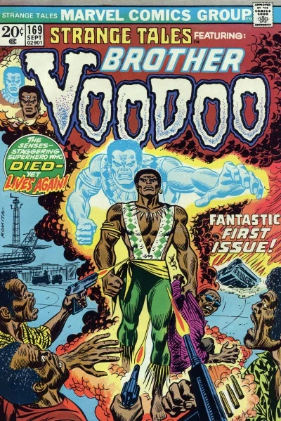 Cover of Brother Voodoo
