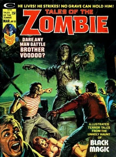 Cover of Brother Voodoo