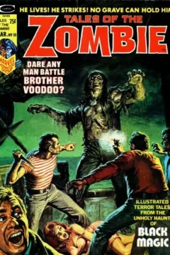 Brother Voodoo