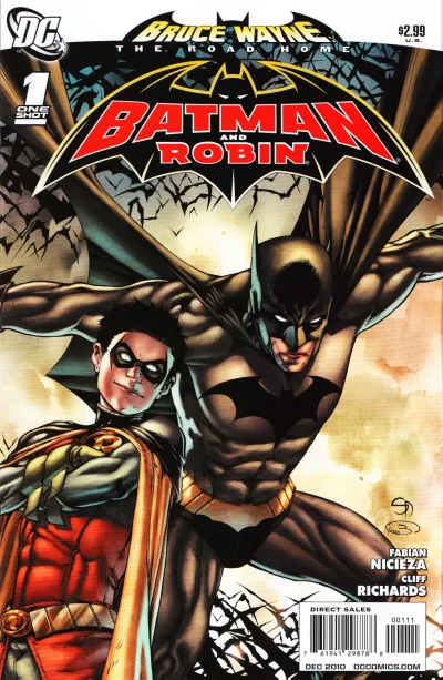 Cover of Bruce Wayne: The Road Home: Batman and Robin Vol 1 1
