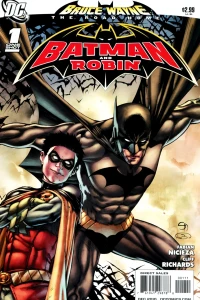 Bruce Wayne: The Road Home: Batman and Robin Vol 1 1