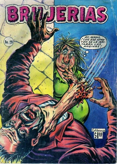 Cover of Issue #29