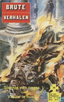 Cover of Issue #29