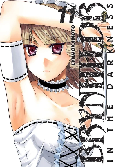 Cover of Tome 11