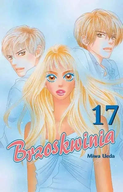 Cover of Issue #17