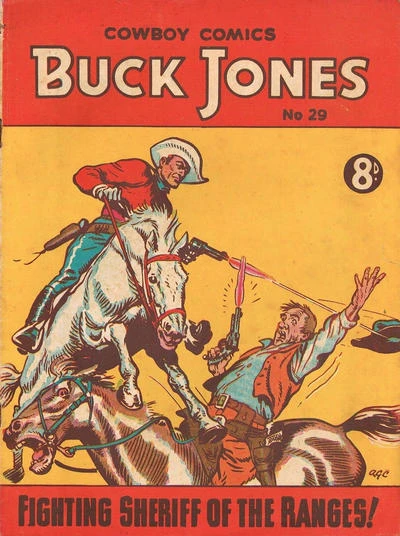 Cover of Issue #29