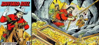 Cover of Im Versteck