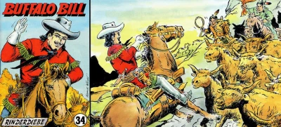 Cover of Rin der Diebe