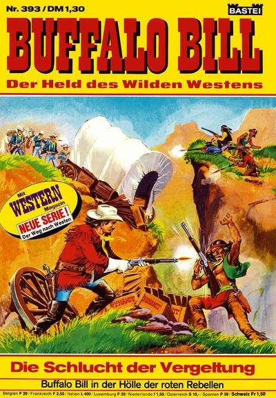 Cover of Die Schlucht der Vergeltung