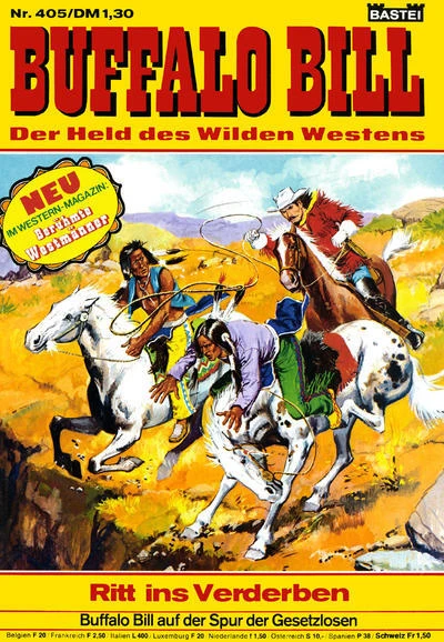 Cover of Ritt ins Verderben