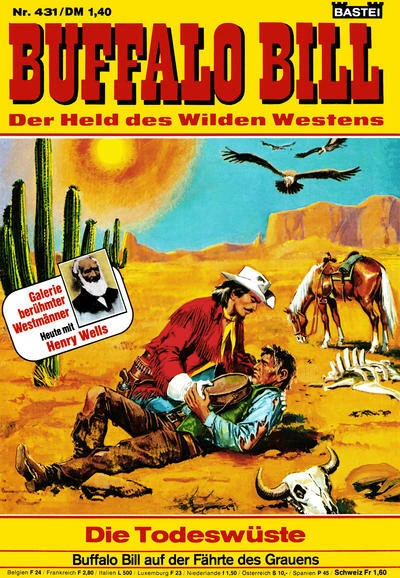 Cover of Die Todeswuste